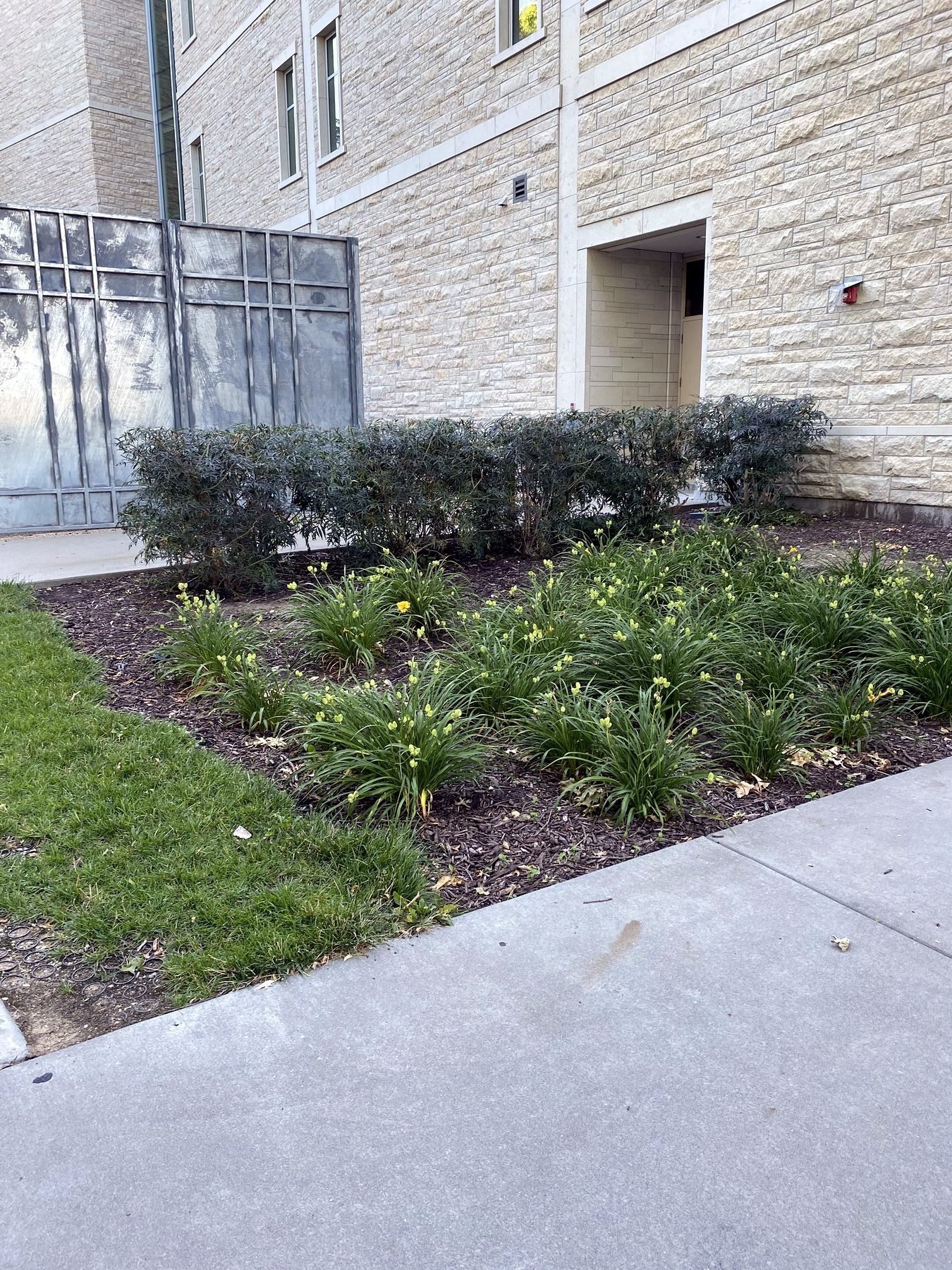 Commercial Bed Cleanup