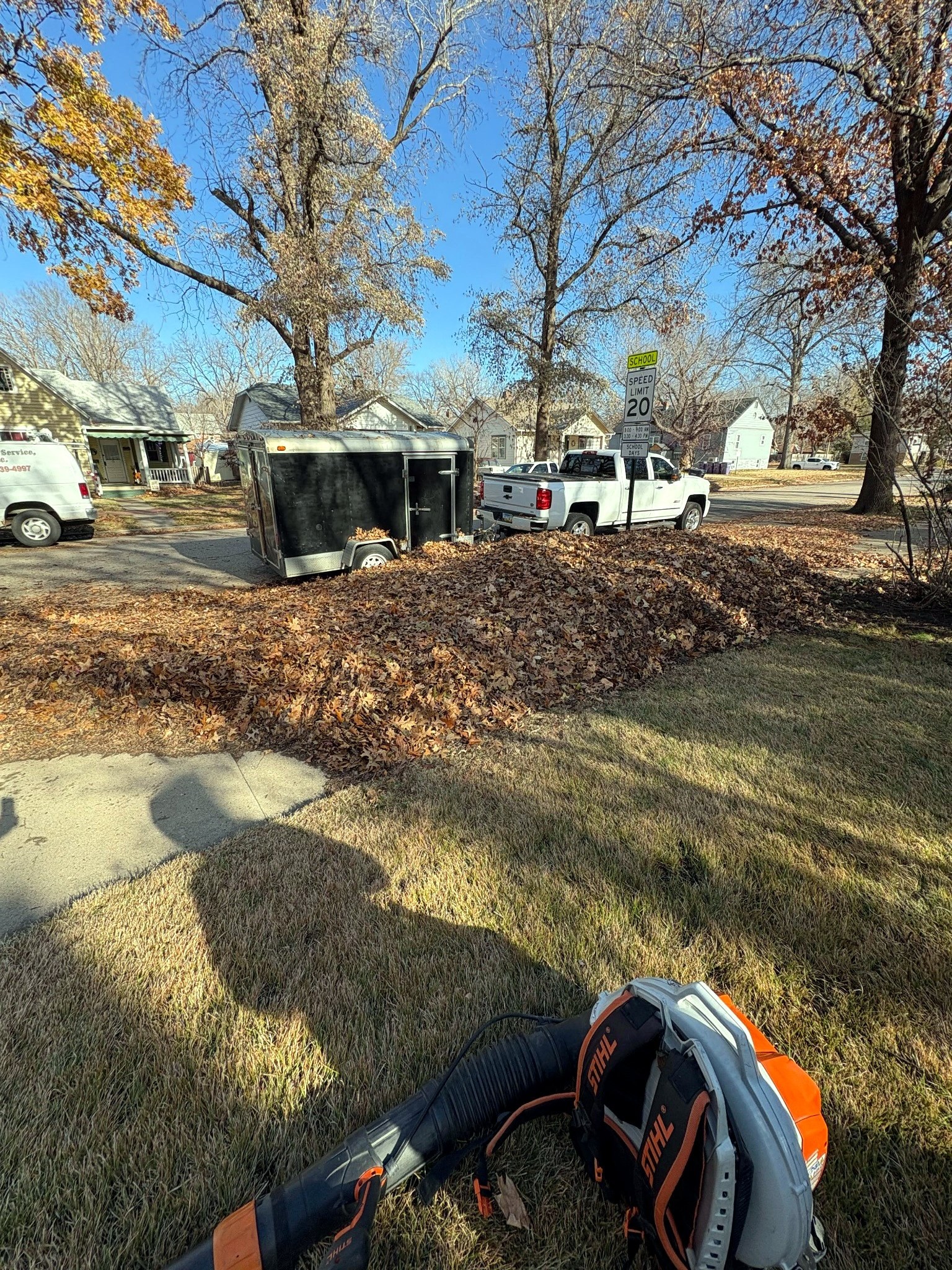Leaf & Debris Cleanup